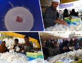 فيديو.. حليب وقشطة.. البوظة الوصفة السحرية للأمراض و النحافة.. ولف العجينة سر صنعتها