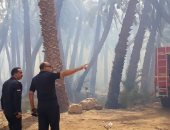 أمن الوادى الجديد: سرعة التحرك حالت دون حدوث كارثة فى حريق منطقة عين الشيخ