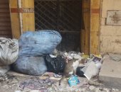 قارئ يشكو تراكم القمامة بعدد من مناطق حى غرب فى شبرا الخيمة