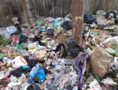شكوى من انتشار القمامة فى شارع مسجد الرحمة بالوراق