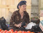  حى غرب المنصورة يوفر مروحة لمسنة تبيع الخضار 