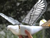 الصين تلجأ لطائرات بدون طيار على شكل طيور لمراقبة المواطنين 