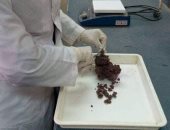 طالبة مصرية تقدم بحثا عن استخراج مواد من الشعب المرجانية لعلاج سرطان الثدى