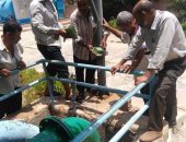 صور .. توقف محطة تنقية مياه بالسويس لعدة ساعات بسبب سقوط سيارة بضائع