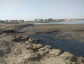 صور.. بقعة مازوت وزيوت بترولية تلوث مياه خليج السويس 