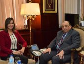 وزيرا الهجرة والتنمية المحلية يبحثان مشكلة إجازات المصريين بالخارج