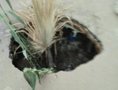 صور.. هبوط أرضى فى شارع مستشفى راضى بالسنطة