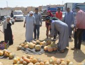 صور.. رئاسة مركز الخارجة تنفذ حملات إزالة إشغالات بأحياء المدينة