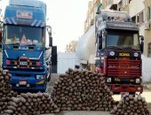 أجهزة الأمن تضبط 187 قضية مخدرات فى حملات بمختلف المحافظات خلال 24 ساعة