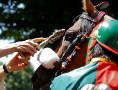 صورة.. قس كاثوليكى يبارك أحد الخيول قبل سباق فى إيطاليا