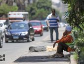 صورة اليوم... وخليك حنين عليهم يا حر الصيف