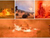 حاكم ولاية أوريجون الأمريكية يعلن حالة الطوارئ بسبب حرائق الغابات