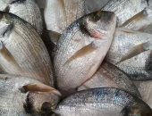 صور.. تعرف على أسعار الأسماك بأسواق السويس اليوم الثلاثاء