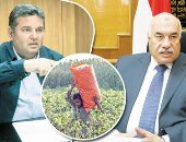   رئيس القابضة للقطن: رفع كفاءة العمال على رأس خطة التطوير