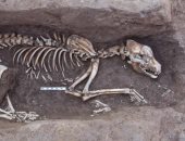 الآثار تكتشف دفنات آدمية وحيوانية ومصنع "بيرة" فى السنبلاوين.. صور 