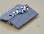 ارتفاع حصيلة قتلى الأمطار الغزيرة فى اليابان إلى 44 شخصا