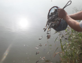 محافظ القليوبية: إنزال الدفعة الثالثة من زريعة الأسماك ببحيرة عرب العليقات