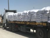 مراسل "إكسترا نيوز": استئناف إرسال شاحنات المساعدات إلى غزة بفضل جهود مصر