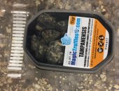 صور.. جمارك المطار تضبط راكبا حاول تهريب بذور ومركب كيميائى لزراعة الماريجوانا