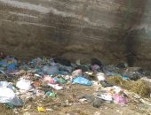 "قرية المشاعلة" بمحافظة الشرقية تشكو من عدم وجود مقلب قمامة