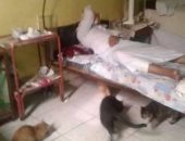 صور.. الإهمال يضرب مستشفى بولاق الدكرور وانتشار القطط داخل غرف المرضى