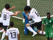 ديلى ميل: عصام الحضرى من أعظم نجوم كأس العالم 2018
