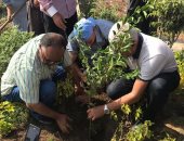 صور.. نقابة الزراعيين تبدأ فى تنفيذ مبادرة الرئيس لزراعة مليون شجرة مثمرة