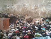 قارئ يرصد تراكم القمامة ووجود أعداد من الماشية بنفق أحمد عرابى بالعجوزة