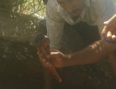 صور.. محافظ بنى سويف يكلف لجنة لإصلاح خط تسريب المياه بقرية تزمنت الشرقية