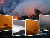 حرائق هائلة تضرب غابات الصنوبر فى اليونان وهروب مئات السكان