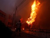 ارتفاع حصيلة ضحايا حرائق الغابات فى اليونان إلى 60 قتيلا و170مصابا