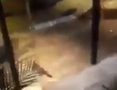 فيديو.. انفجار ماسورة مياه عمومية بالتجمع الخامس