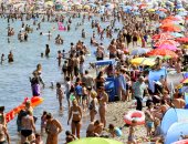 حصاد الصحة اليوم.. كل سمك عشان تقى نفسك من أمراض الكبد.. وكيف تتعامل مع موجة الحر