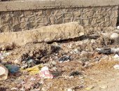 قارئ يشكو من انتشار القمامة فى شوارع "أبو شميس" بالشرقية 