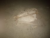 بالوعة بدون غطاء تزعج المارة فى شارع الشيخ رويس بالبحر الأعظم