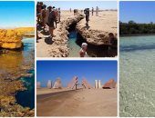 6 أسباب جعلت محمية رأس محمد المقصد الأول للسياحة البيئية بمصر والعالم .. التفاصيل