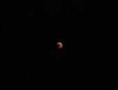 صور.. ظهور القمر الدموى بوضوح فى سماء الإسكندرية 