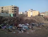 قارئ يشكو انتشار القمامة بقرية دميرة فى الدقهلية