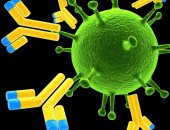 اختبارات أجسام مضادة تكشف: الموظفين وعمال النظافة حاملين صامتين للفيروس