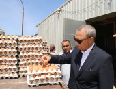 صور وفيديو.. محافظ قنا يشهد ذبح دواجن الدورة الخامسة بالمجزر الآلى