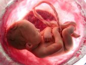 3 مشكلات تحدث للأجنة تتسبب فى إجراء ولادة مبكرة.. أهمها خلل في أجهزة الجسم