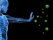 اعرف جسمك.. كيف تعمل الأجسام المضادة لرفع مناعتك؟