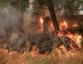 حريق يدمر 200 منزل شرق الكونغو الديمقراطية