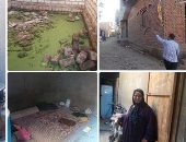 صور.. هنا "سنور القبلية" بالفيوم الأكثر فقرا على مستوى الجمهورية.. قصة القرية التى طلب الرئيس بياناتها بمؤتمر الشباب.. الصرف حول شوارعها لمستنقعات والقمامة تحاصرها.. والأهالى للسيسي: أخيرا حد افتكرنا