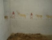 هنا منطقة بنى حسن الأثرية.. حكاية 39 مقبرة فرعونية 