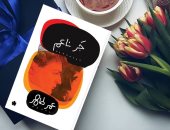 دار الكرمة تصدر طبعة جديدة لكتاب جر ناعم لـ عمر طاهر