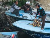 صورة اليوم... صياد وروحت اصطاد "عشان الرزق"