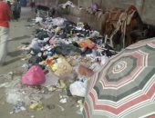 شكوى من انتشار القمامة بشارع الحدائق فى المرج الغربية