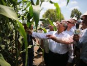 فيديو وصور.. وزير الزراعة: حريصون على دعم الباحثين وتشجيعهم للنهوض بالإنتاج