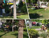 غدًا.. فتح حدائق القاهرة مجانا والأتوبيس النهرى بنصف الثمن احتفالا بذكرى 30 يونيو